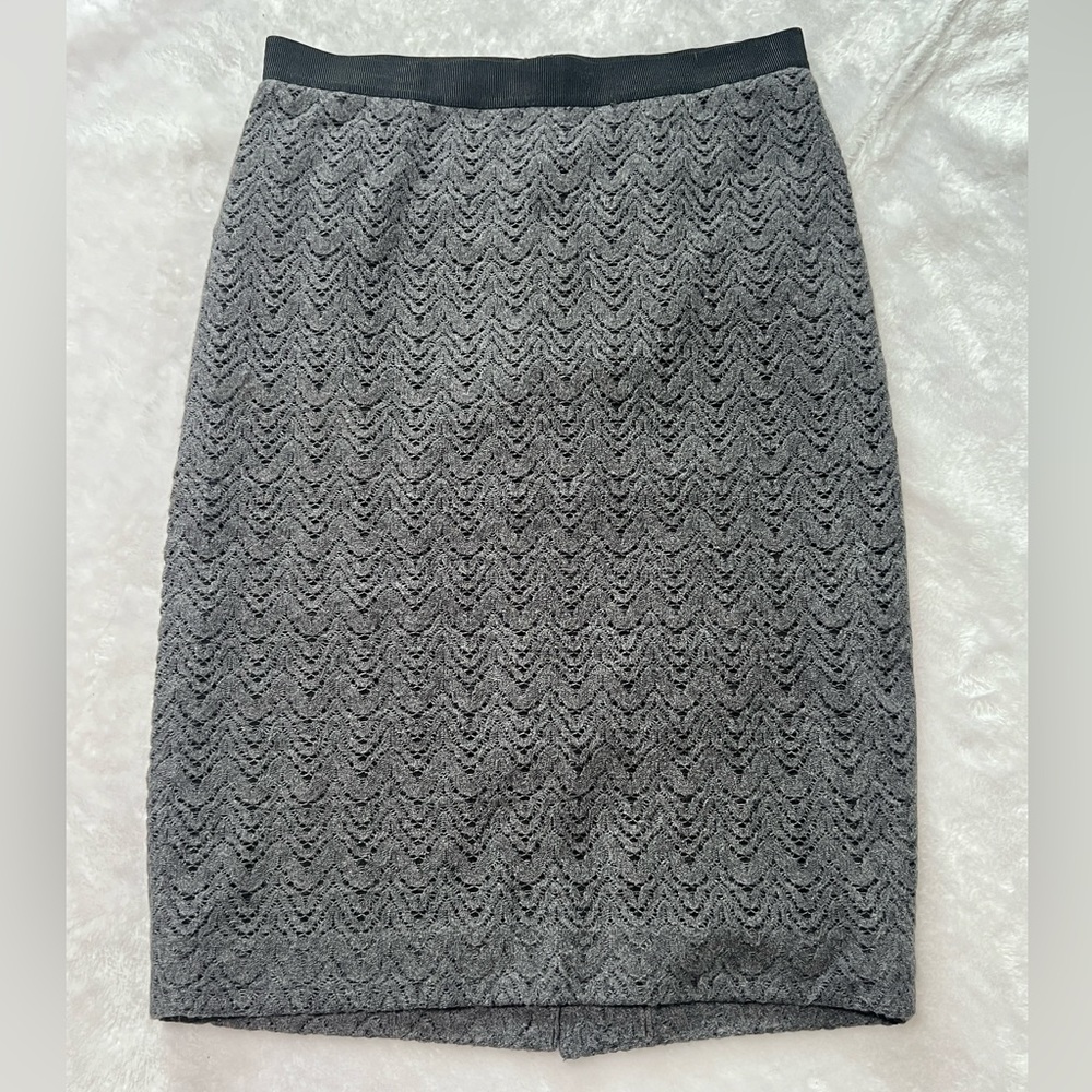 Ann Taylor Size 4 Gray Skirt. Soft/fuzzy outer layer with black skirt lining